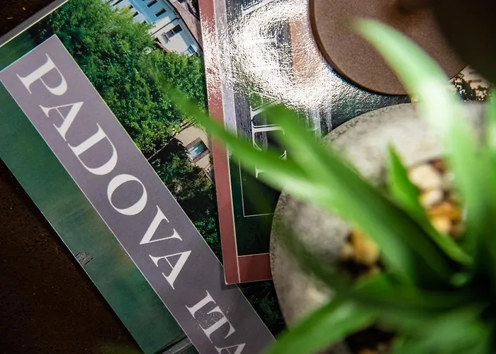 Apartment Chocolate Nest - Sole 233